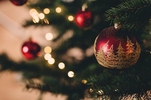 Christmas ornaments on green tree