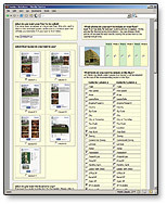 Automated PDF Document Generation    